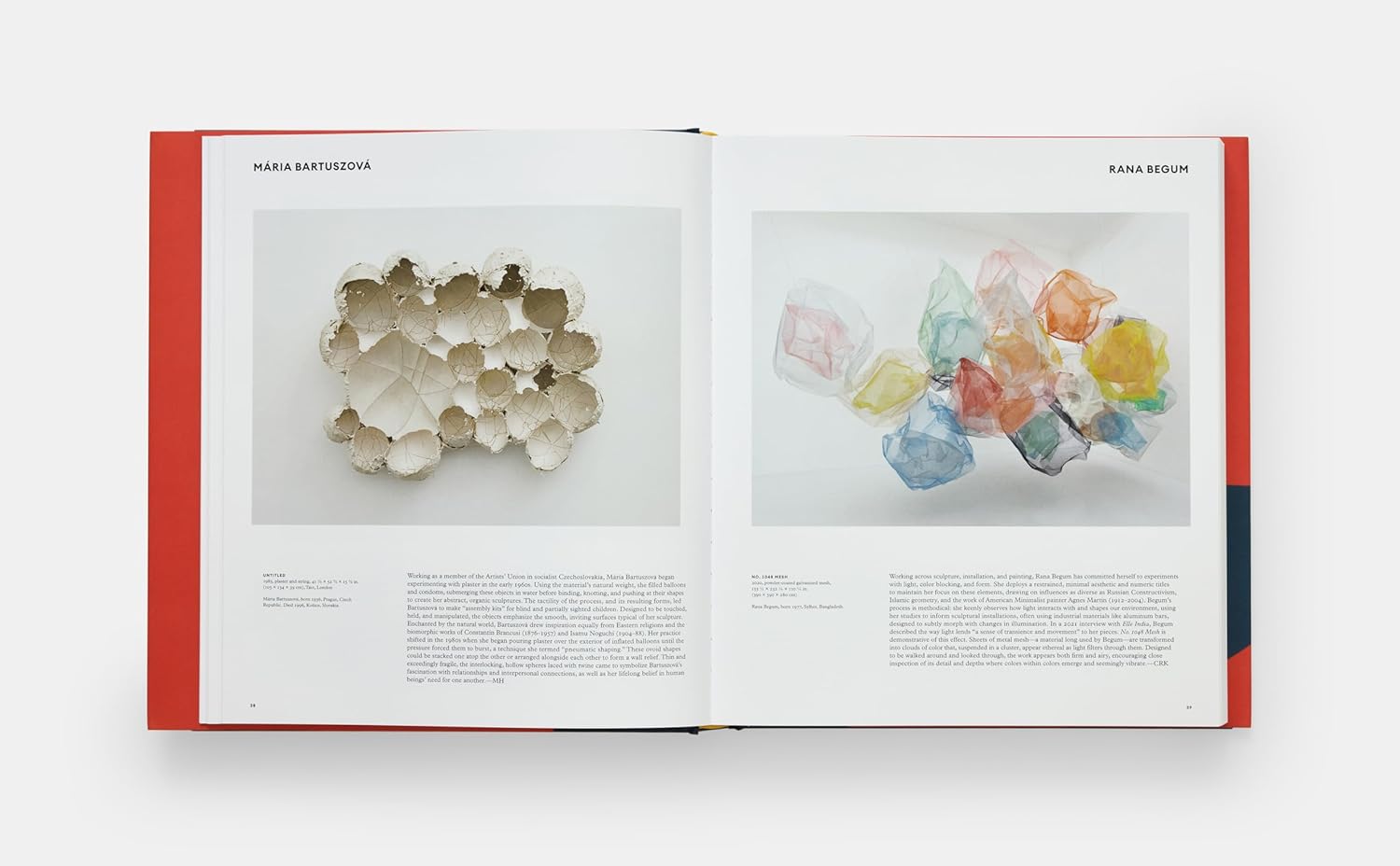 Great Women Sculptors book inside