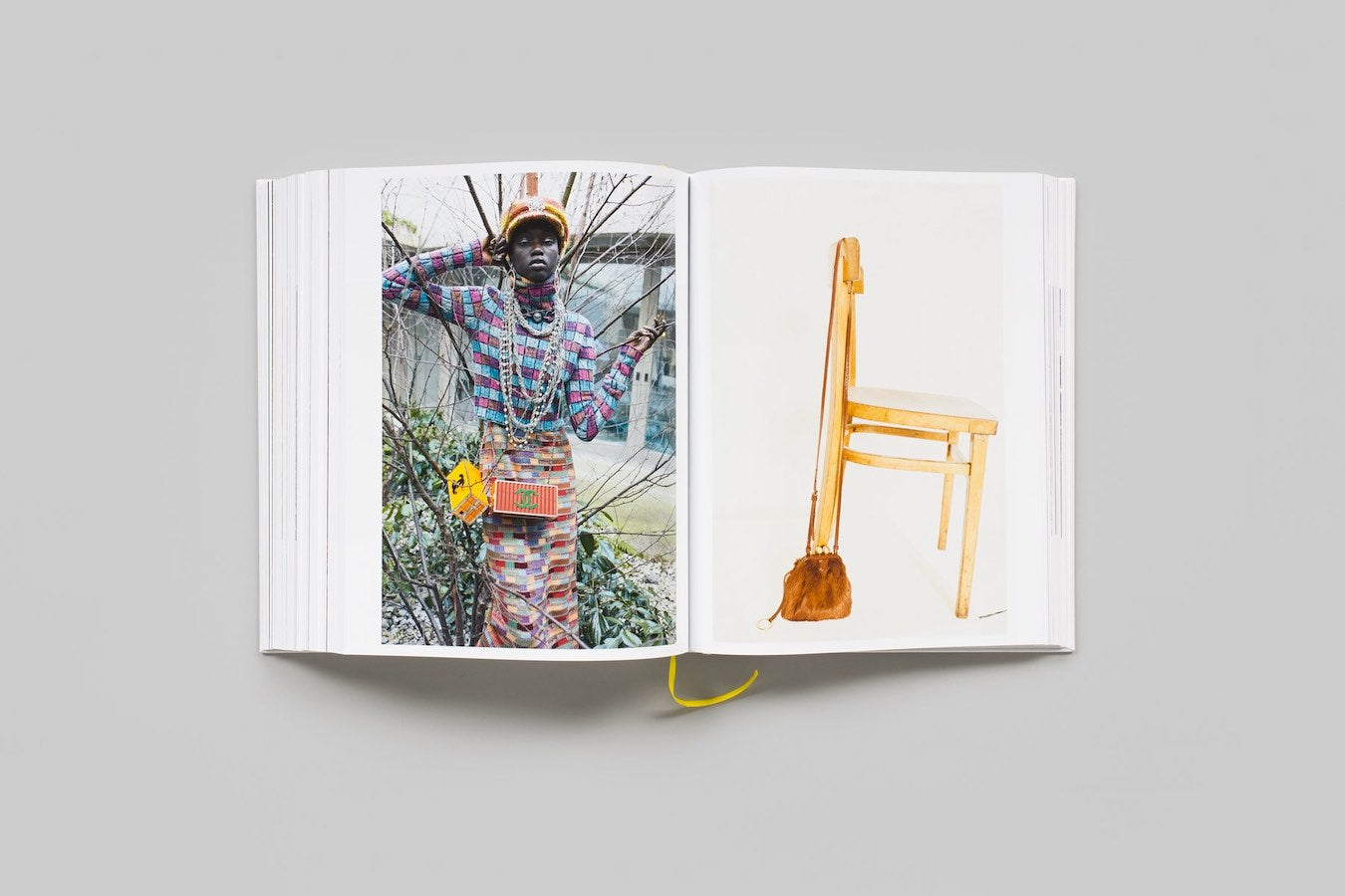 Handbags book inside