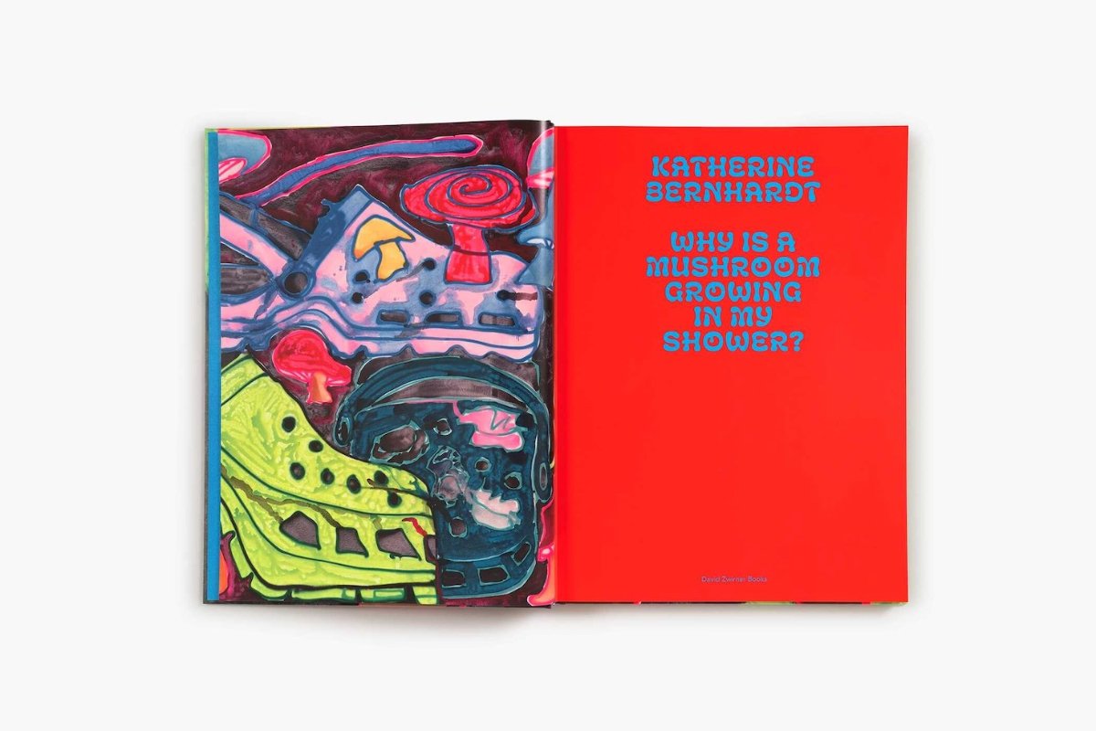 Katherine bernhardt mushroom shower book inside