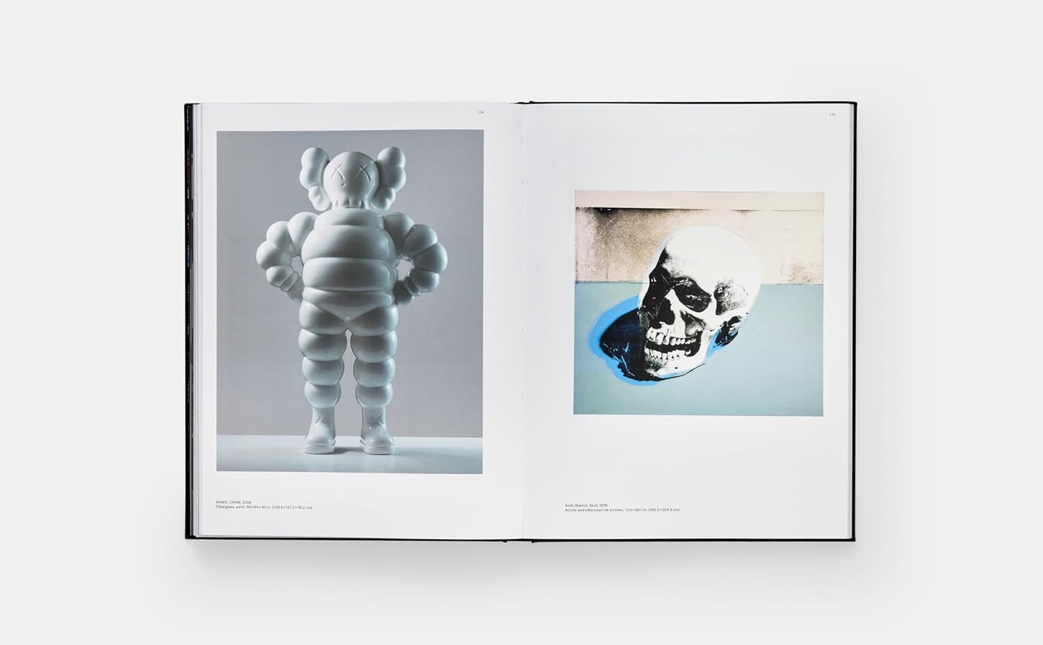 Kaws + Warhol book inside