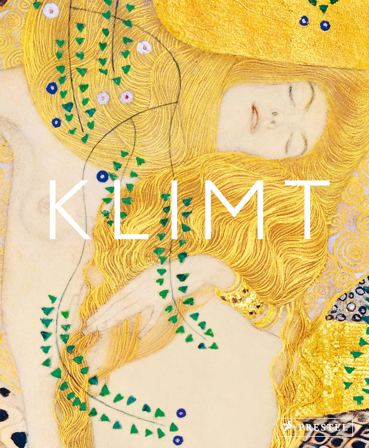 Klimt: The Bigger Picture book cover