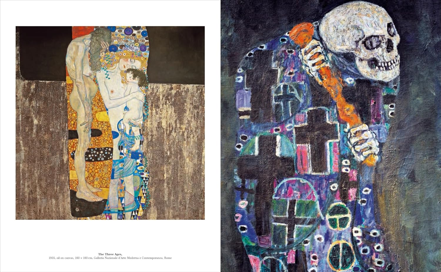 Klimt: The Bigger Picture book inside