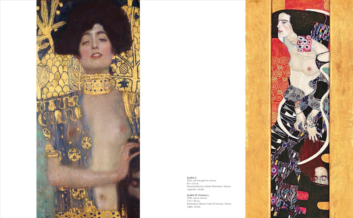 Klimt: The Bigger Picture book inside