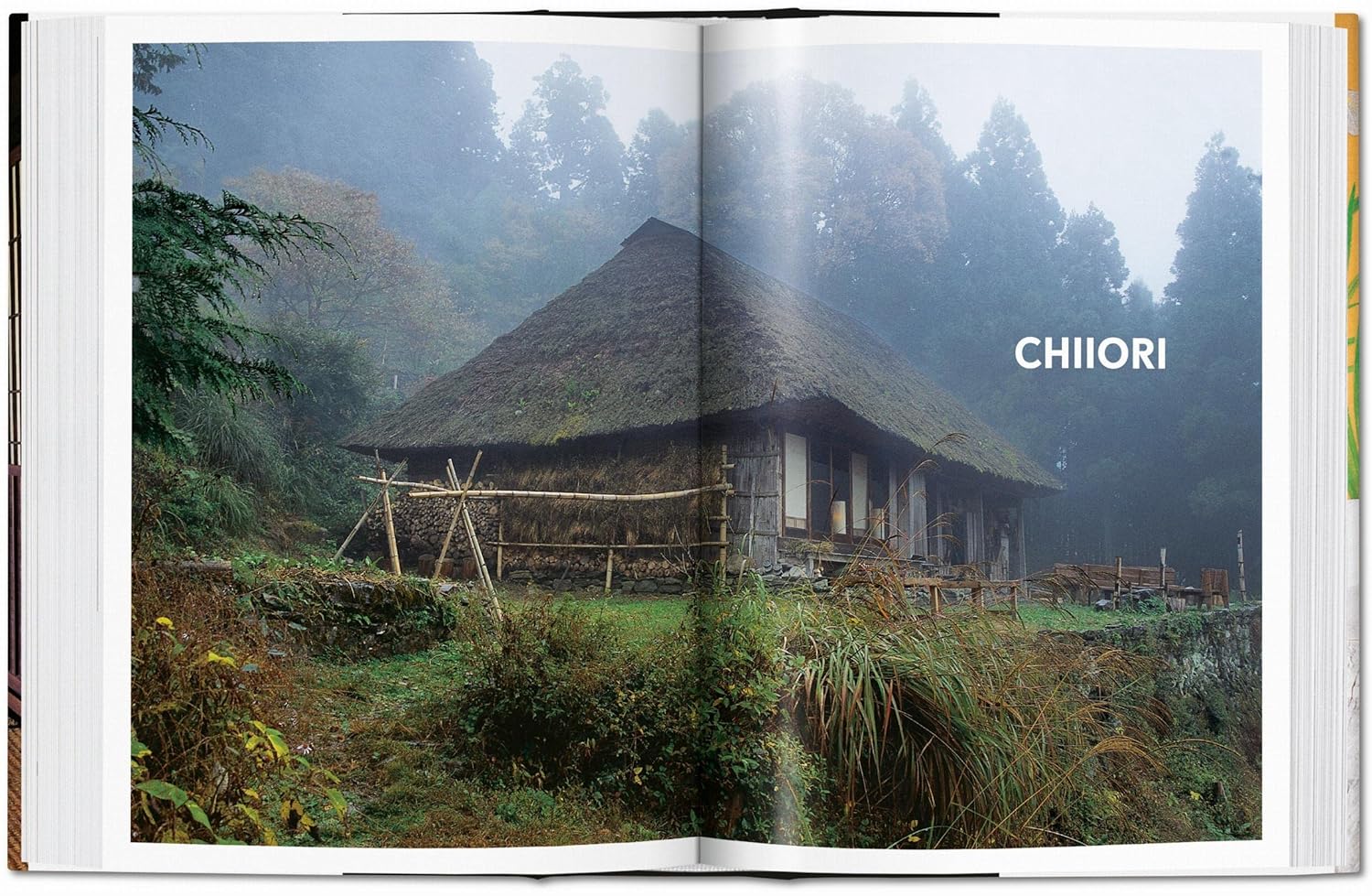Living in Japan book inside