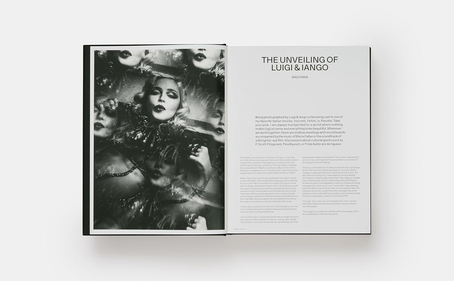 Luigi iango unveiled book inside