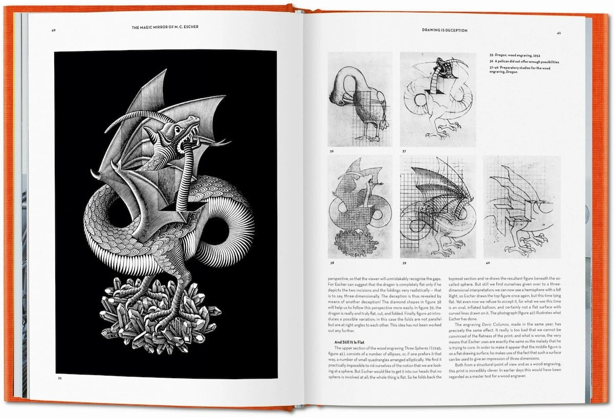 The Magic Mirror of M.C. Escher book inside
