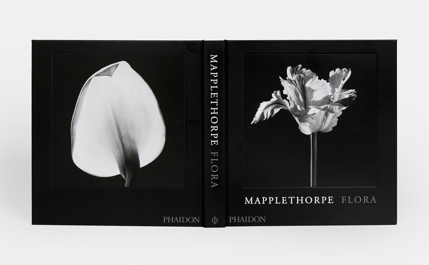 Mapplethorpe Flora book cover
