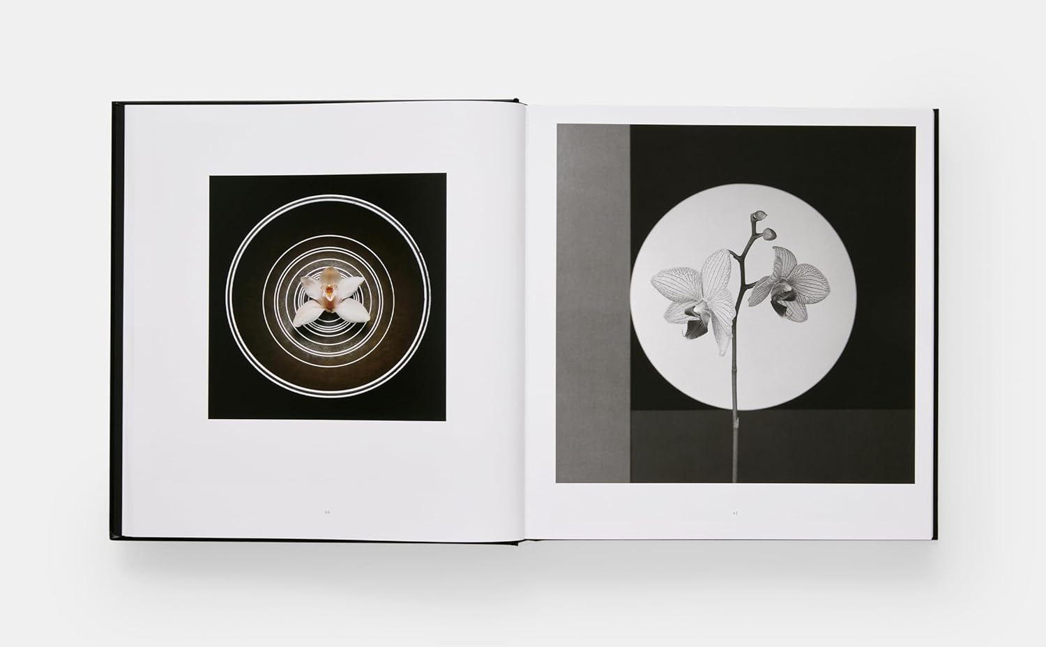 Mapplethorpe Flora book inside