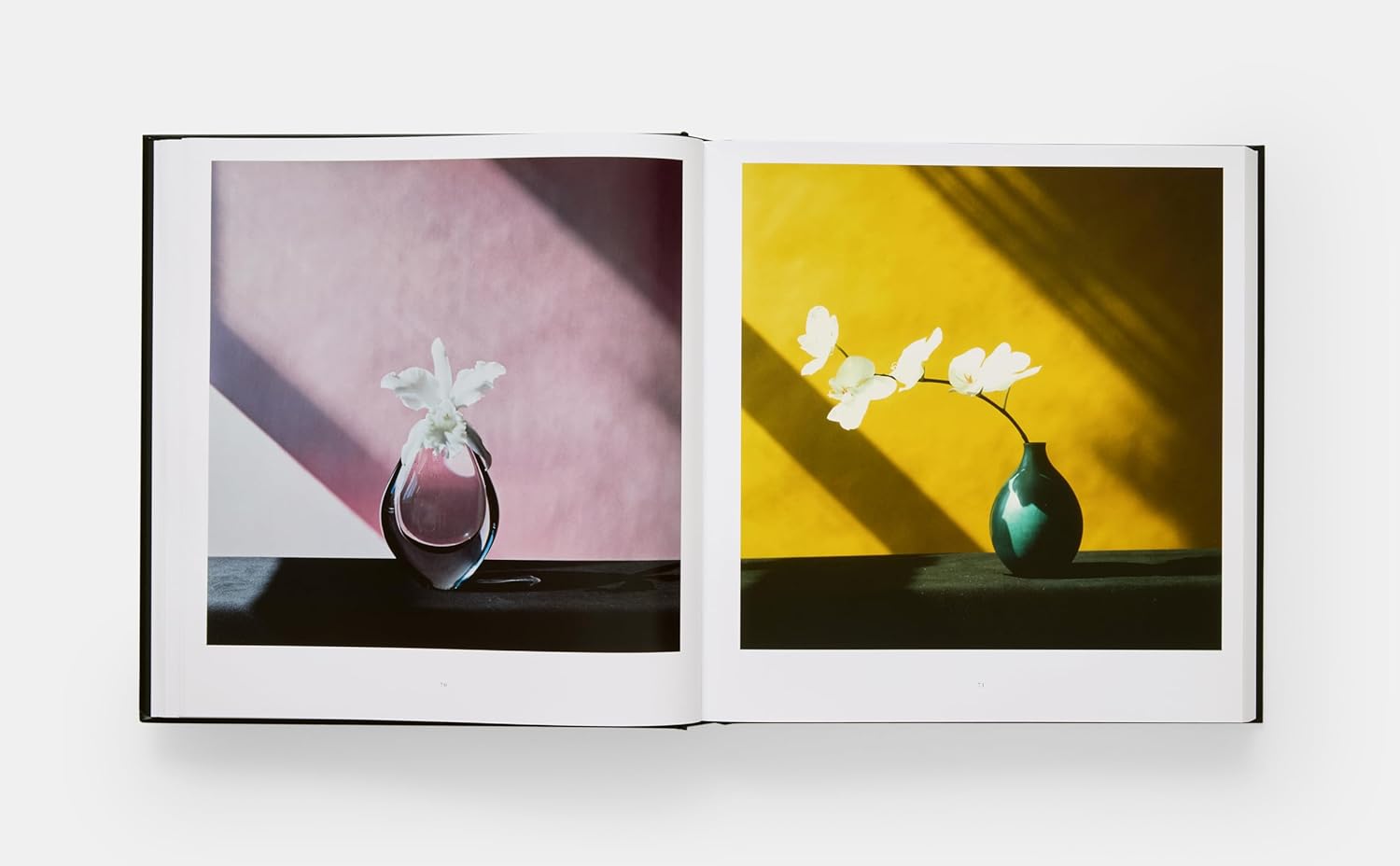 Mapplethorpe Flora book inside