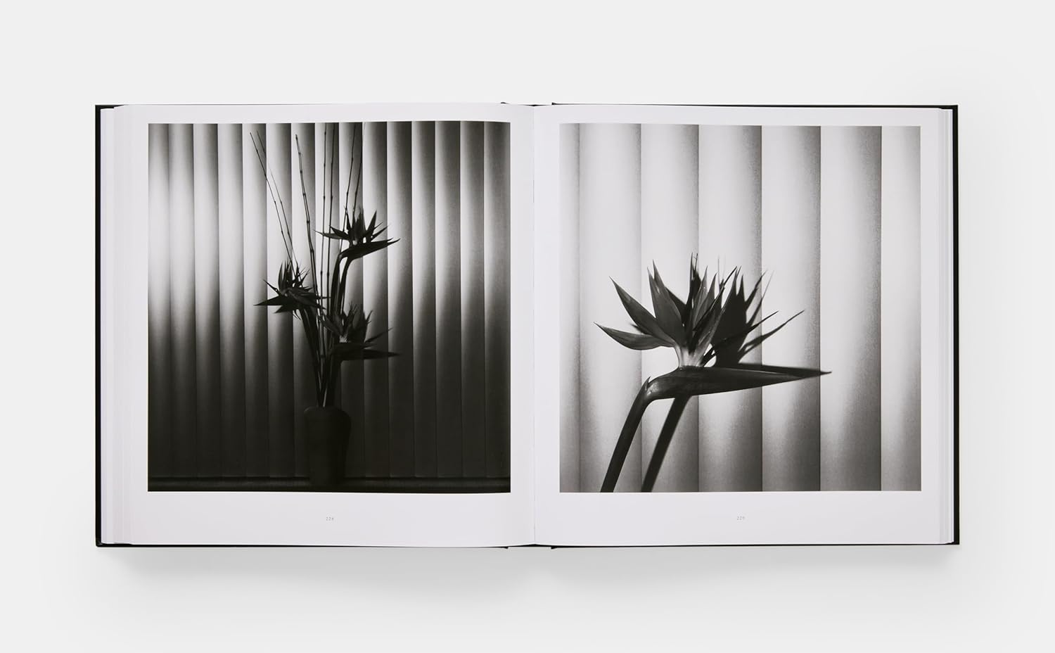 Mapplethorpe Flora book inside