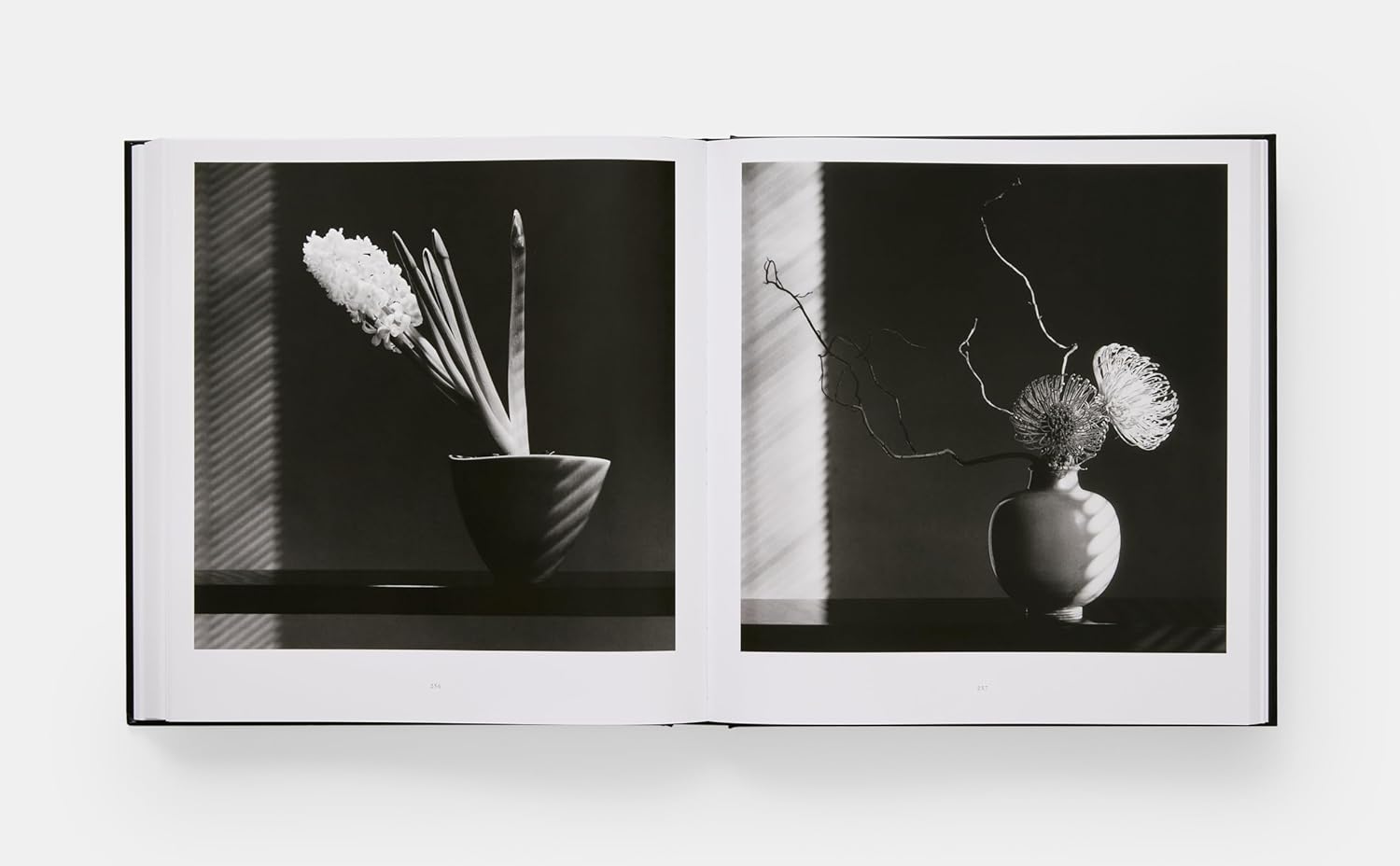 Mapplethorpe Flora book inside