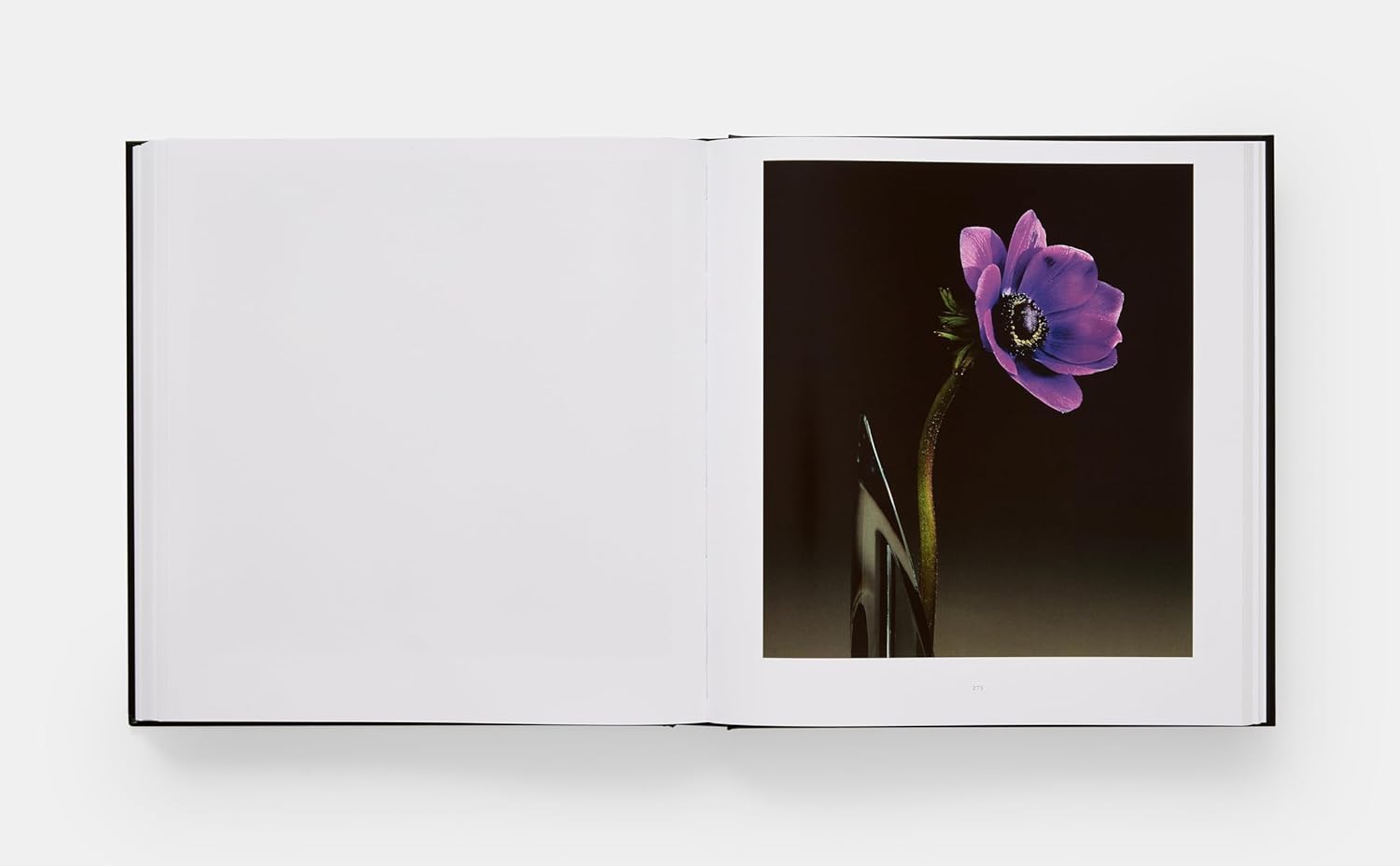 Mapplethorpe Flora book inside