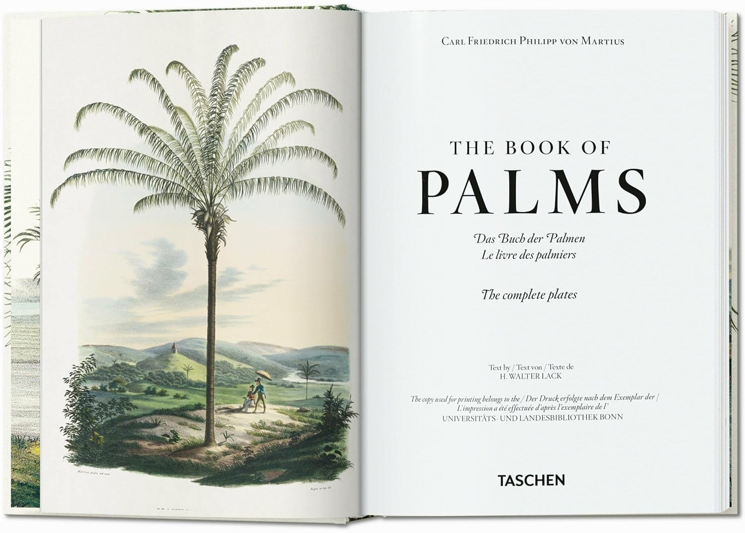 The Book of Palms book inside