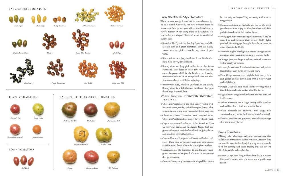 Modern cooks year book inside