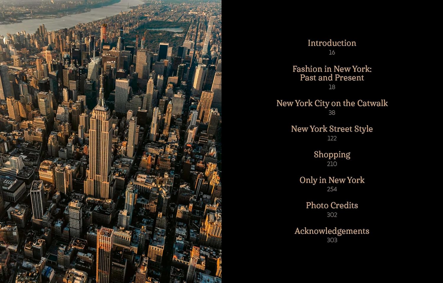 New York in Fashion book inside