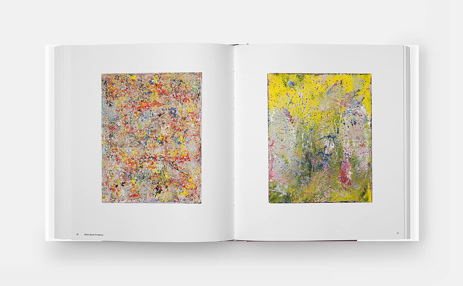 Nick Waplington: Comprehensive book inside