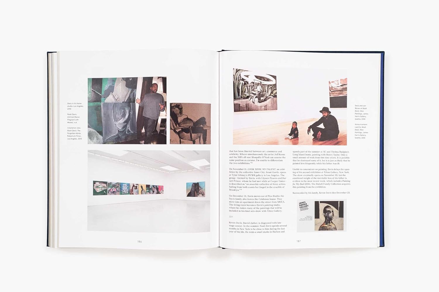 Noah davis in detail book inside
