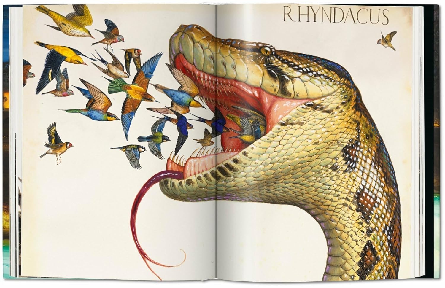 Pancha tantra book inside