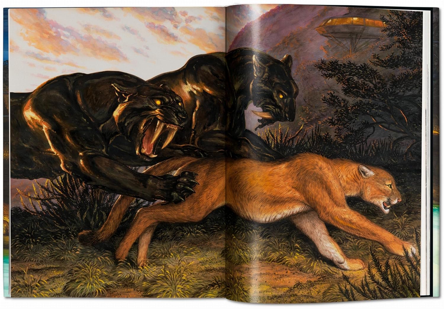 Pancha tantra book inside