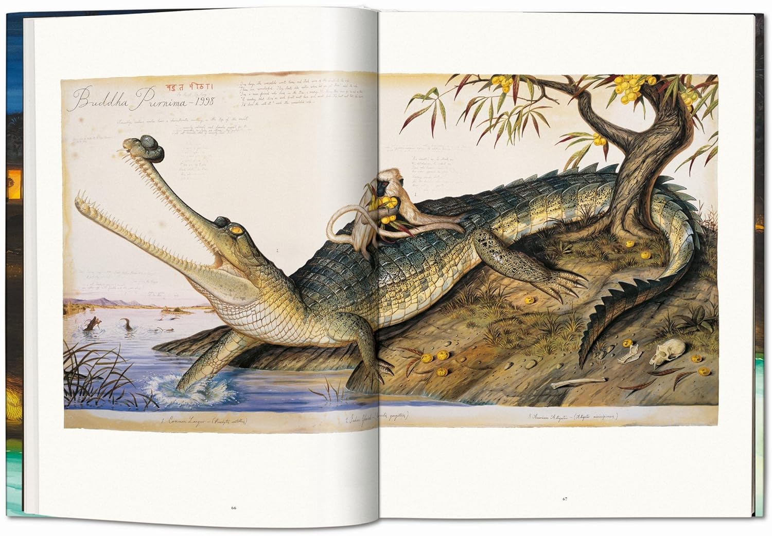 Pancha tantra book inside