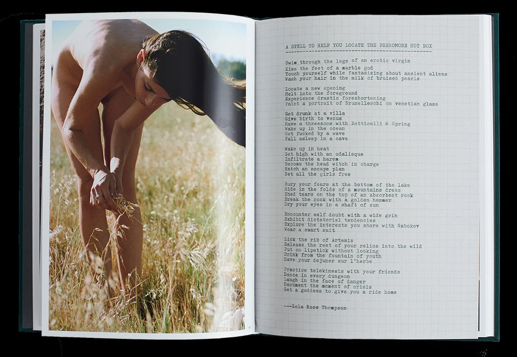 Pheromone Hotbox book inside