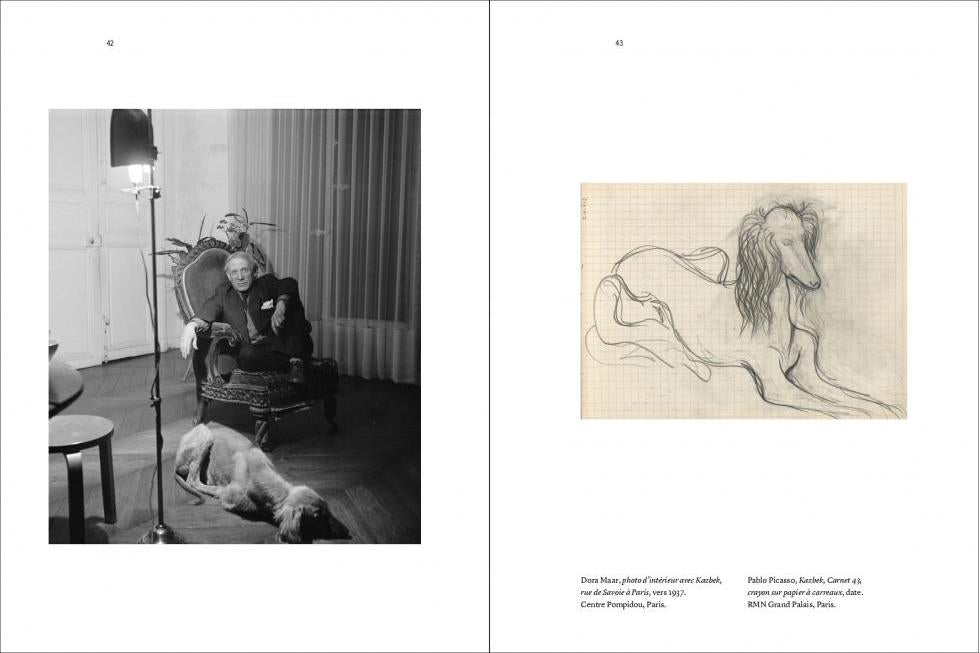 Picasso dogs book inside