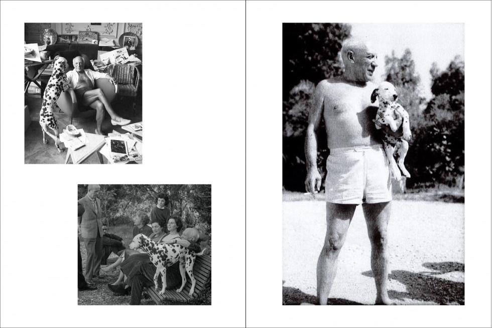 Picasso dogs book inside