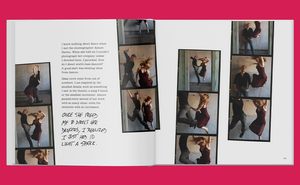 Picturing joy book inside