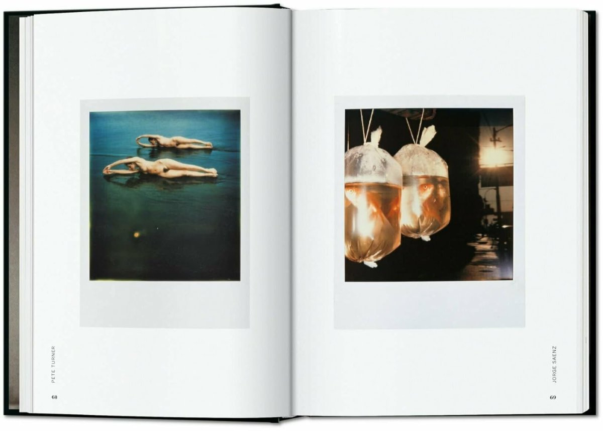 Polaroid book inside
