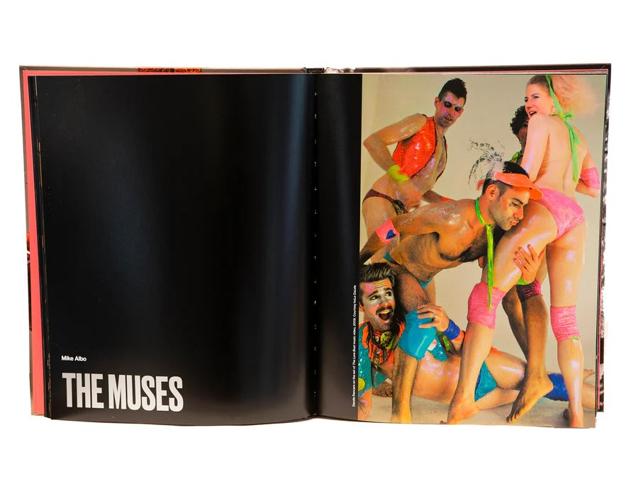Queer maximalism x machine dazzle book inside