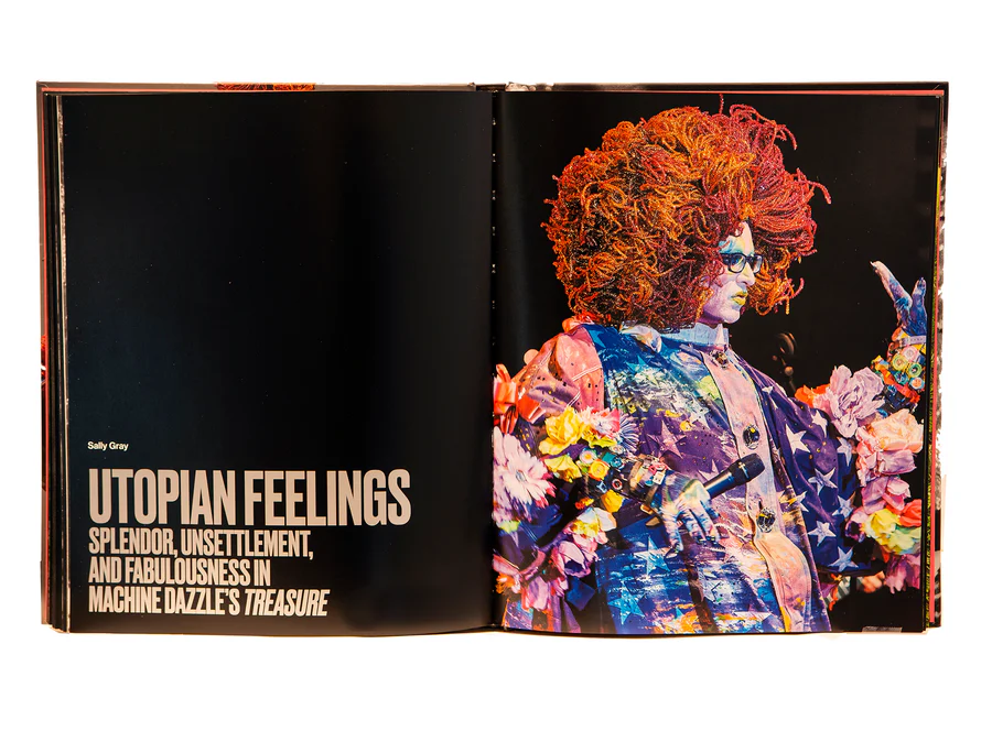 Queer maximalism x machine dazzle book inside