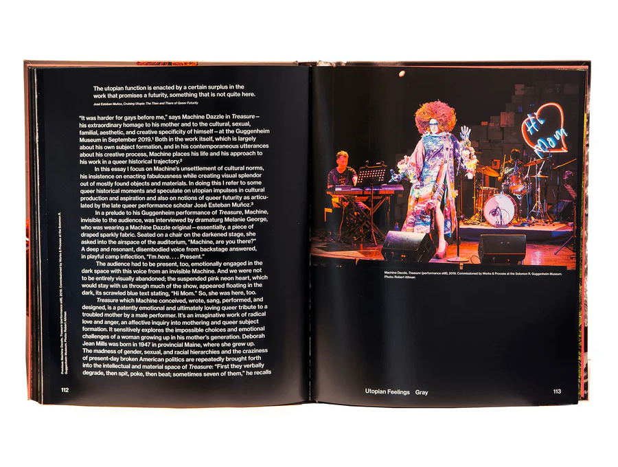 Queer maximalism x machine dazzle book inside