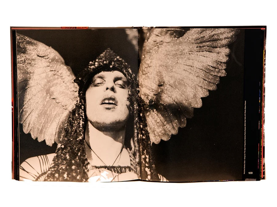 Queer maximalism x machine dazzle book inside
