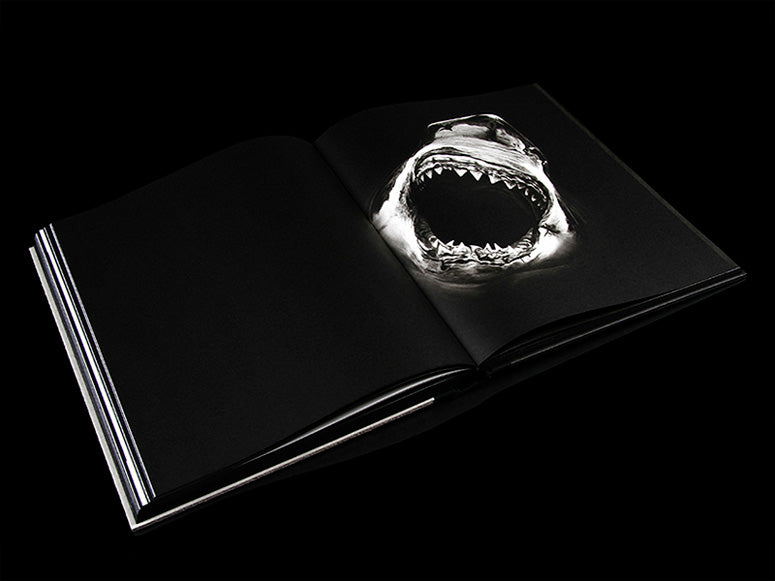 Robert longo charcoal book inside