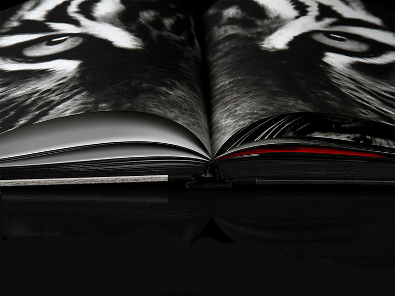 Robert longo charcoal book inside