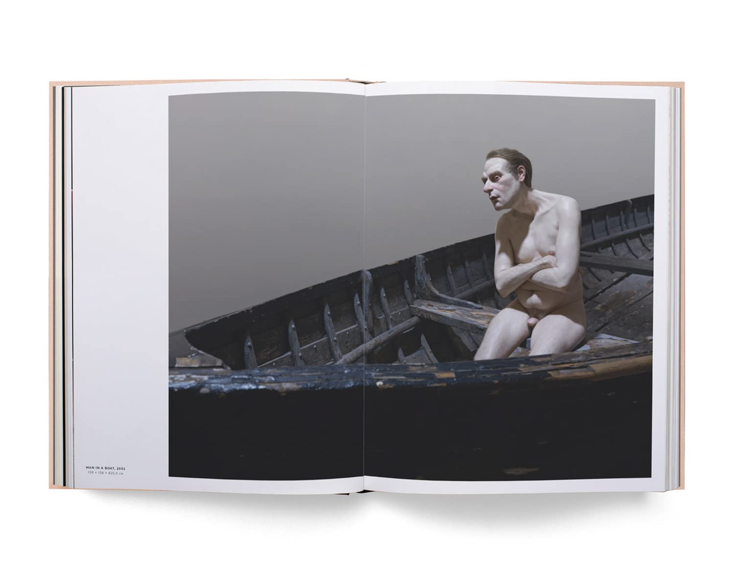 Ron mueck book inside
