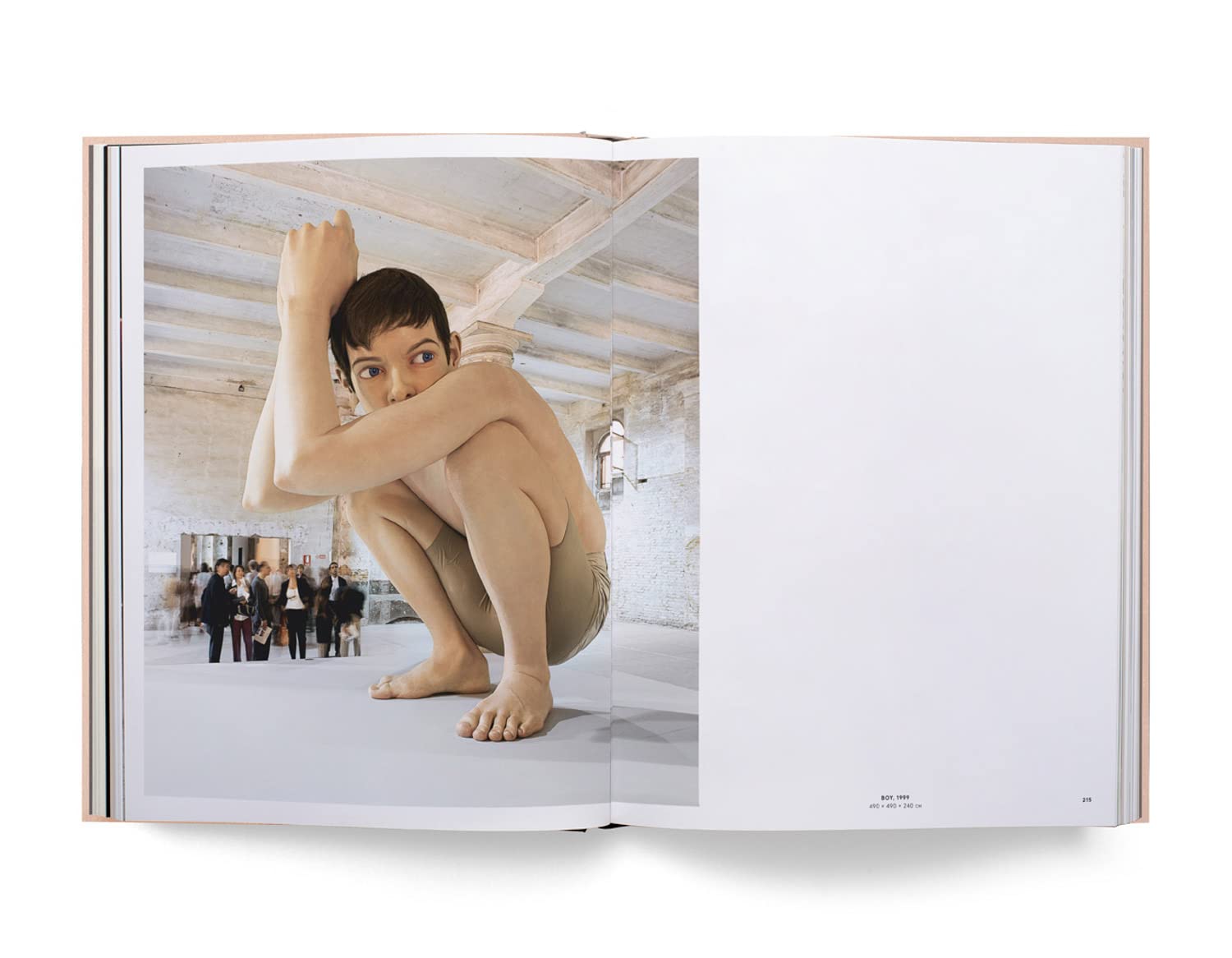 Ron mueck book inside