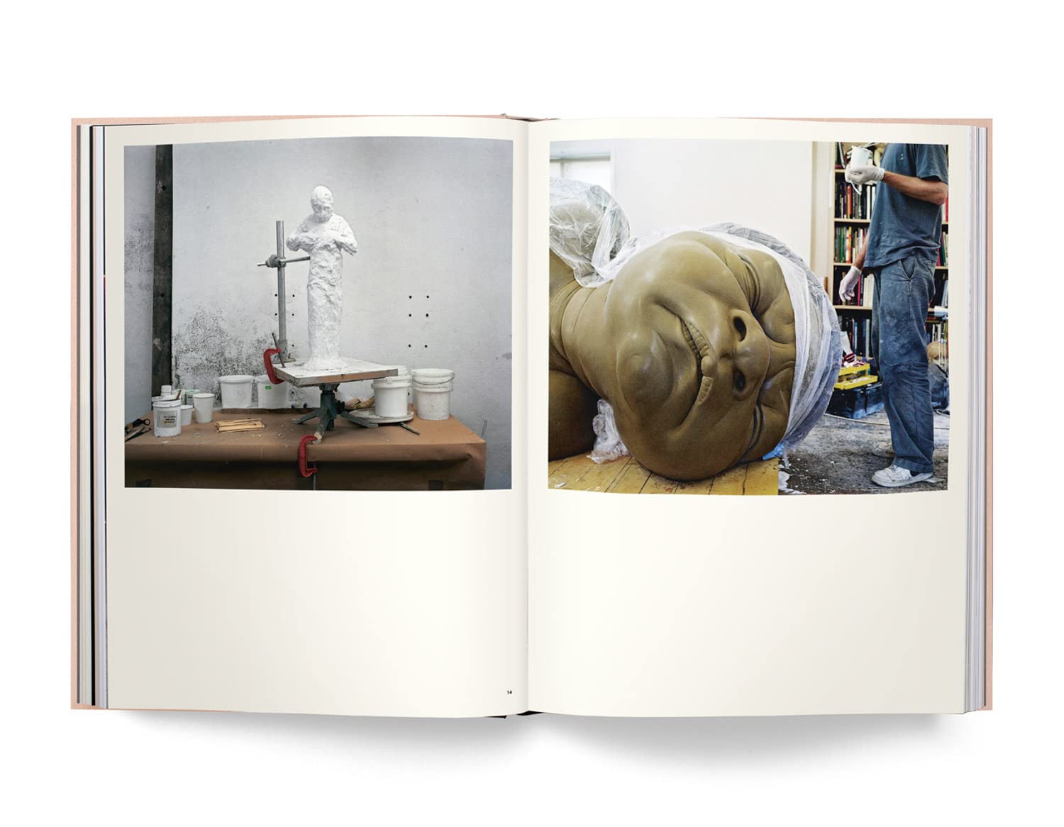 Ron mueck book inside