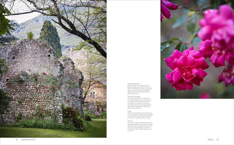 Roses in the Garden book inside