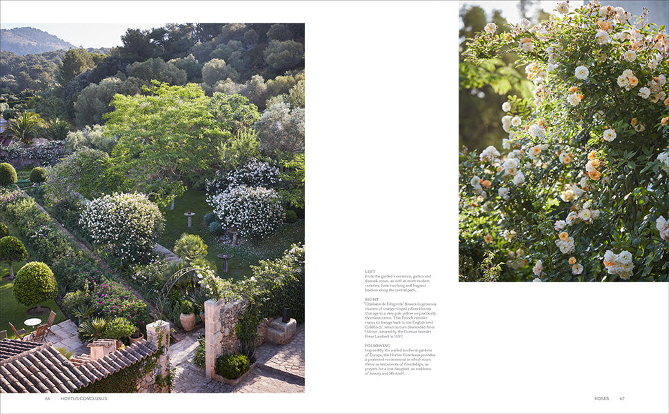 Roses in the Garden book inside