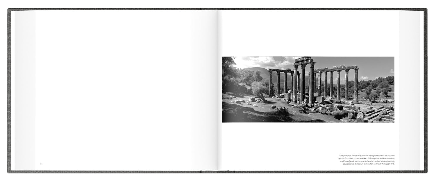 Ruins book inside
