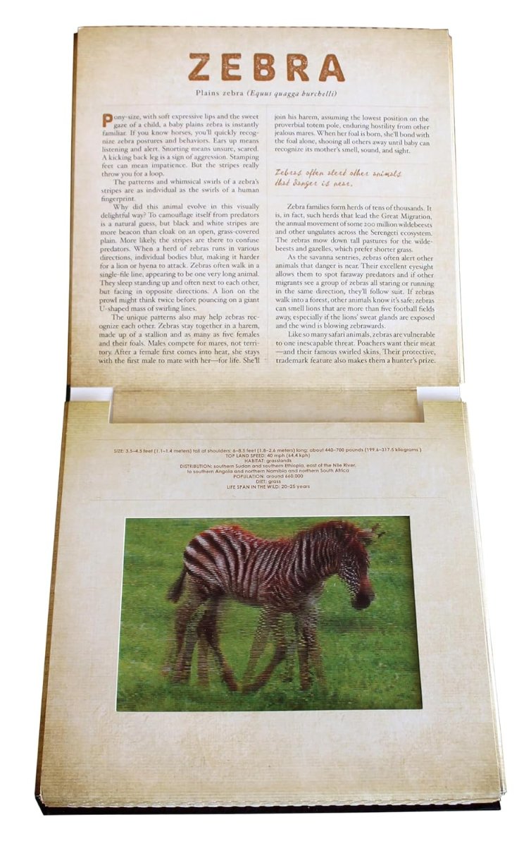 Safari (Photicular) book inside