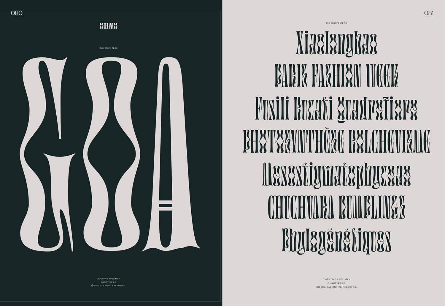 Serifs in use book inside