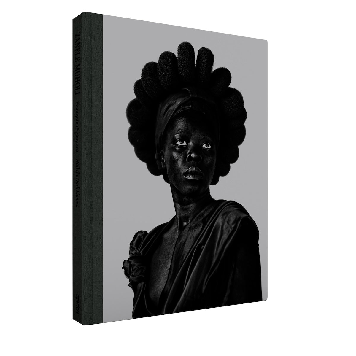Somnyama Ngonyama, Hail the Dark Lioness book cover