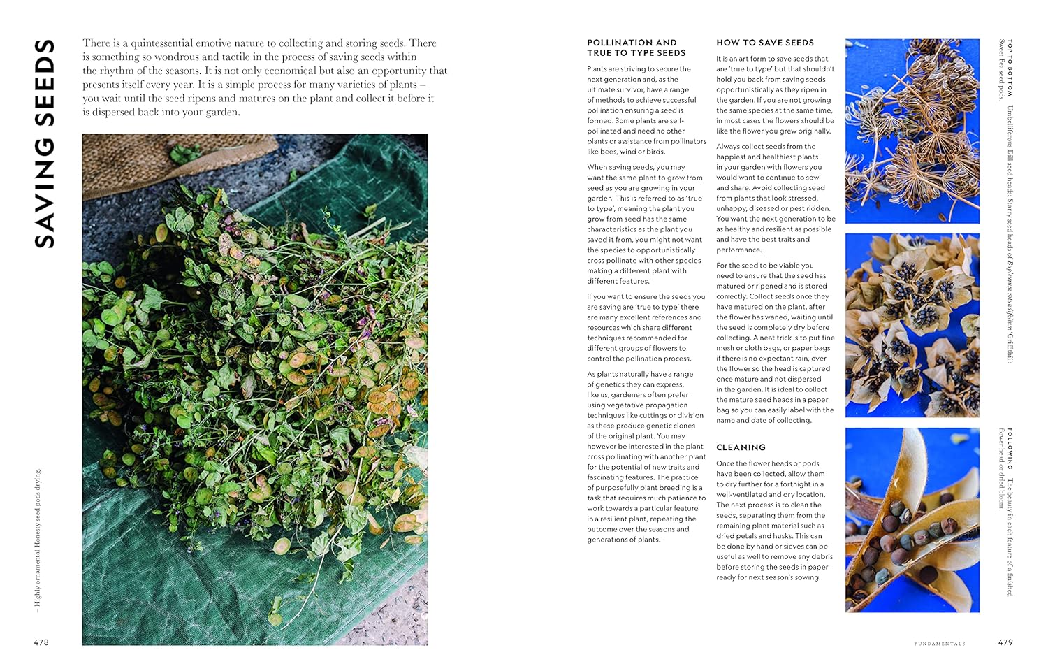Super Bloom book inside