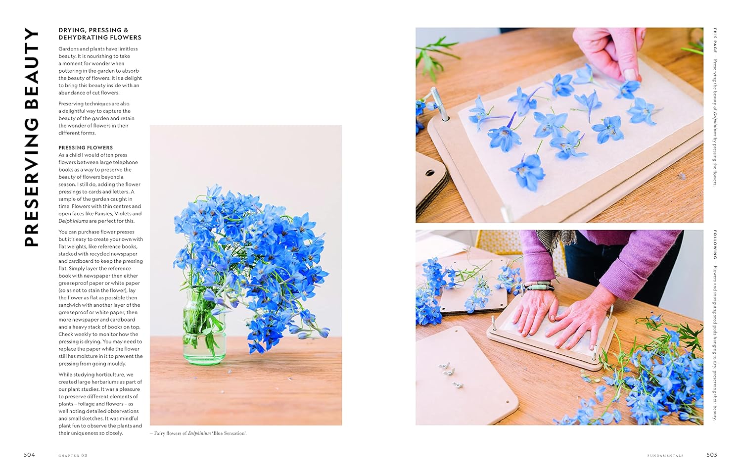 Super Bloom book inside