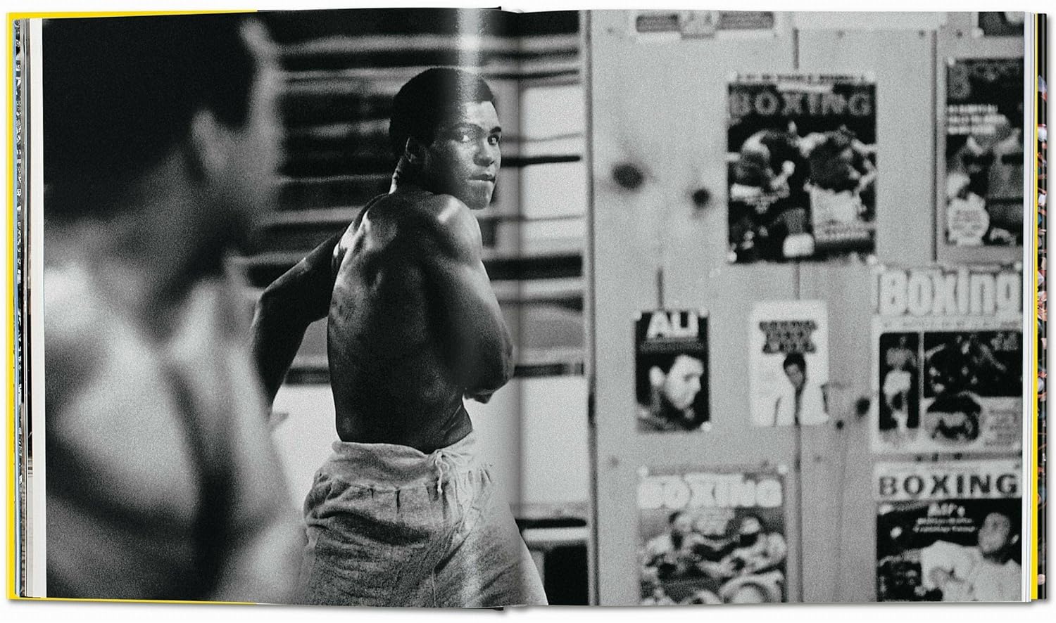 The fight book inside