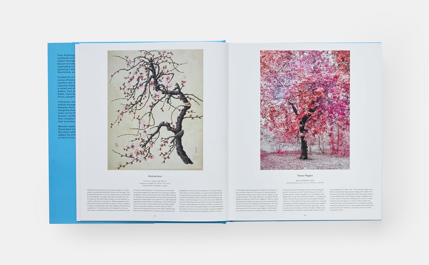 Tree book inside