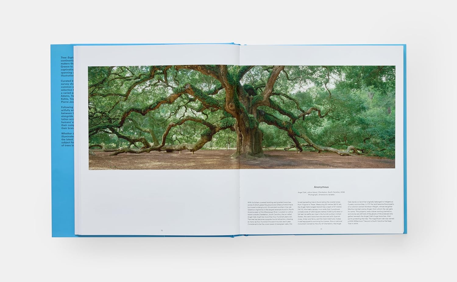 Tree book inside