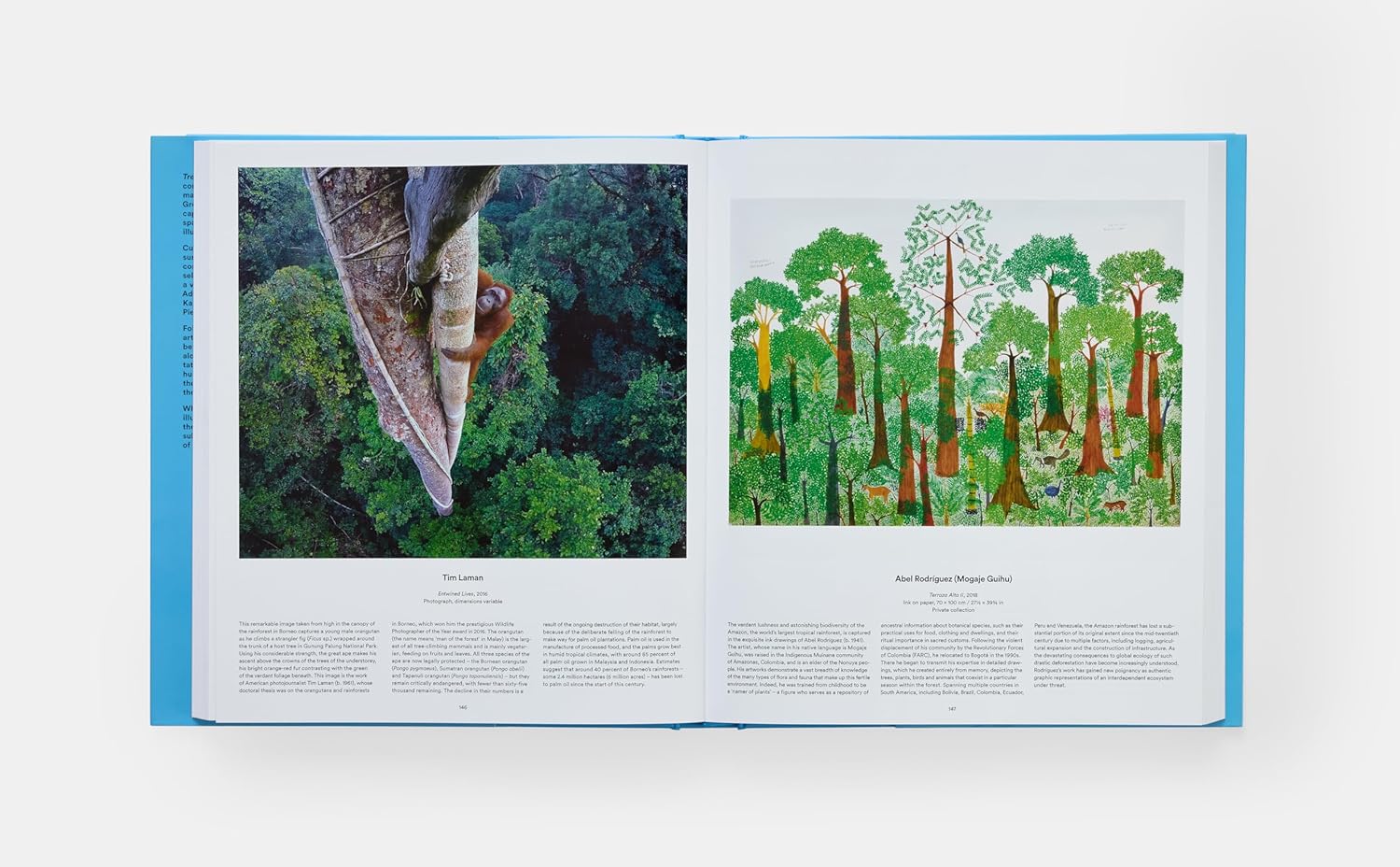 Tree book inside